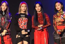 تایپ MBTI اعضای مامامو