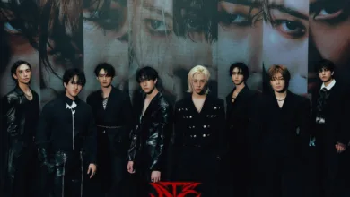 عکس های استری کیدز