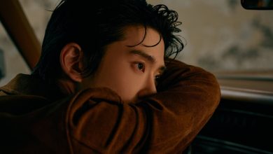 عکس جهیون برای آهنگ Roses